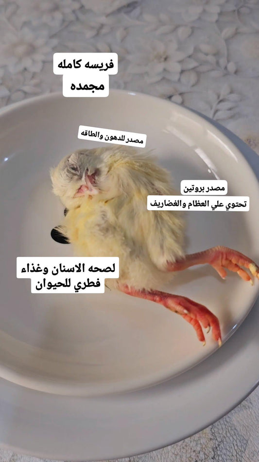 كتكوت كامل مجمد🐥🔥(فقط في الكويت)🔥