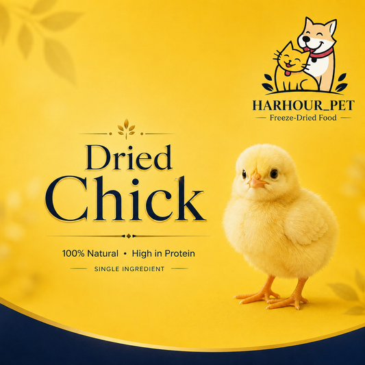 كتكوت مجفف🐥