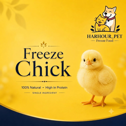 كتكوت كامل مجمد🐥🔥(فقط في الكويت)🔥